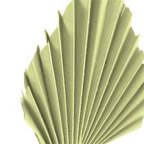 Produkt Palmspear zielone jabłko bielone 65 szt