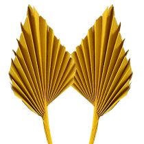 Produkt Palmspear Żółty 65 szt