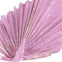 Palmspear Mix Rosa Berry, myty biały Florystyka pamiątkowa 65szt