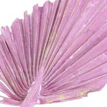 Produkt Palmspear Mix Pink Berry, White Washed Memorial Florystyka 65 szt
