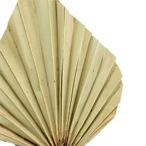 Produkt Palmspear Naturalny 100 szt