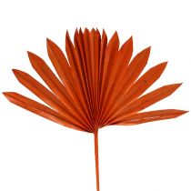 Produkt Palmspear Słoneczna Pomarańcza 30 szt