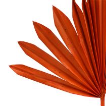 Produkt Palmspear Słoneczna Pomarańcza 30 szt