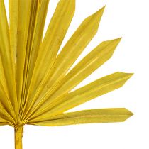 Produkt Palmspear Sun mini żółty 50 szt