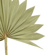 Produkt Palmspear Sun mini natura 50 szt