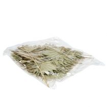 Produkt Palmspear Sun mini natura 50 szt.