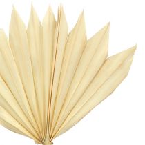 Produkt Palmspear Sun mini wybielany 30 szt