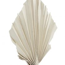 Produkt Palmspear Mini White Washed 100 szt.