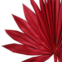 Produkt Palmspear Sun Red 30 szt