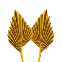 Produkt Palmspear mini żółta 100 szt