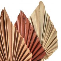 Produkt Palmspear mini mix Maroko 30 szt
