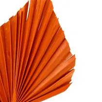 Produkt Palmspear Orange 65 szt.