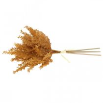 Produkt Sztuczna trawa pampasowa pomarańczowa sucha 35cm 4szt.