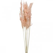 Suszona trawa pampasowa różowe suszone kwiaty naturalna dekoracja 65-75 cm 6 sztuk