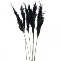 Trawa pampasowa czarna 65-75 cm sucha trawa naturalna dekoracja 6 sztuk