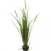 Sztuczna trawa trzcinowa z kulą korzeniową sztuczna roślina wys.63cm
