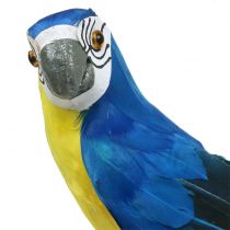 Deco Parrot Blue 44cm