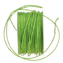 Produkt Sznurek papierowy w oplocie Ø2mm 100m jabłkowo-zielony