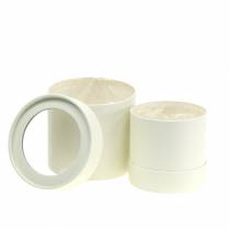 Produkt Pudełko na kwiaty okrągłe, kartonowe, kremowe Ø10/12cm, zestaw 2 szt