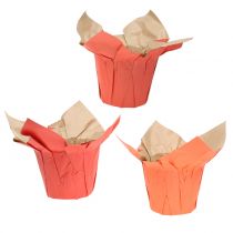 Doniczka papierowa Cachepot pomarańczowa/czerwona Ø10cm 12szt.