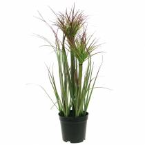 Cyprysik w doniczce sztuczny zielony, czerwony, liliowy 45cm
