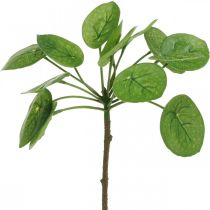 Peperomia Sztuczna zielona roślina z liśćmi 30cm