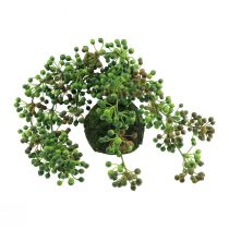 Produkt Sznurek koralików sztuczny mech kula sztuczne rośliny zielony 38cm