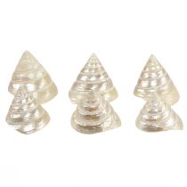 Produkt Ozdoba z masy perłowej ślimak morski dekoracja ślimaka 5–6cm 6szt