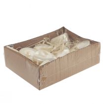 Produkt Ozdoba z muszli ślimaka morskiego z masy perłowej 5–6 cm 6 szt.