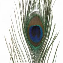 Pawie pióra deco prawdziwe pióra do rękodzieła naturalne 24-32cm 24szt