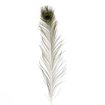 Produkt Ozdoba z pawich piór prawdziwe ptasie pióra długie 70cm 16szt
