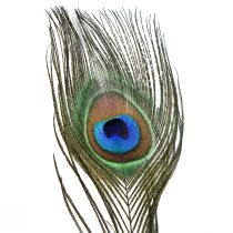 Produkt Ozdoba z pawich piór prawdziwe ptasie pióra długie 70cm 16szt