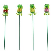 Produkt Wtyczki roślinne żabki ozdobne kwiatki 24cm 16 szt