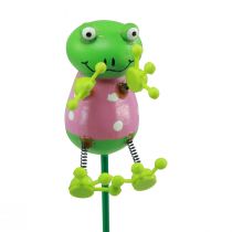 Produkt Wtyczki roślinne żabki ozdobne kwiatki 24cm 16 szt