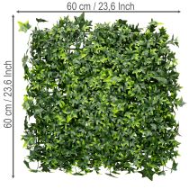 Produkt Mata ze sztucznego bluszczu 60x60 cm zielona do dekoracji ściennej