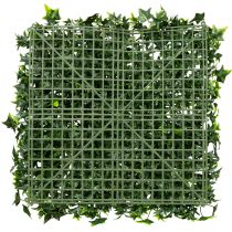 Produkt Mata ze sztucznego bluszczu 60x60 cm zielona do dekoracji ściennej