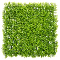 Produkt Mata z bukszpanu sztucznego 55x55 cm do dekoracyjnej aranżacji ściennej