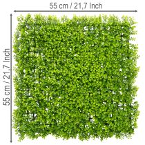 Produkt Mata z bukszpanu sztucznego 55x55 cm do dekoracyjnej aranżacji ściennej
