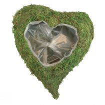 Serce roślinne Zielony mech Miska na rośliny serce 26×30×8cm