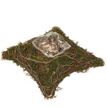 Produkt Poduszka na rośliny z mchu i winorośli, naturalna, 20×20×6,5 cm