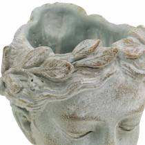 Produkt Popiersie rośliny szaro-niebieskie Ø8cm H15cm