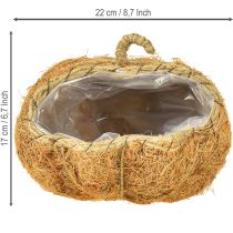 Produkt Koszyczek na rośliny dynia jesienna ozdoba pomarańczowa Ø22cm wys.17cm