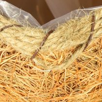 Produkt Koszyczek na rośliny dynia z folią, dekoracja jesienna pomarańczowa Ø18cm H15cm