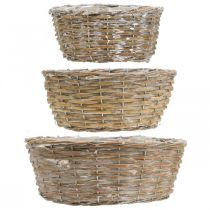 Produkt Zestaw 3 wiklinowych koszy, doniczek, koszy dekoracyjnych, bielonych w stylu vintage, Ø21,5/26/31 cm do domu i ogrodu
