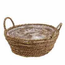 Kosz na rośliny okrągły kosz z trawy morskiej z uchwytami ozdobny kosz Ø25cm W9cm