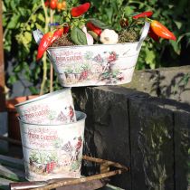 Produkt Doniczka doniczka okrągła metalowa Fresh Garden H21cm