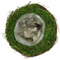 Planter Bowl Rattan, Moss Ø19cm H13cm