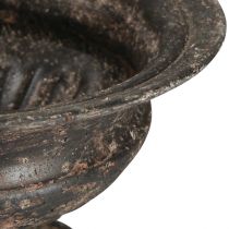 Produkt Kielich do filiżanek na rośliny Wygląd antyczny Czarny Brązowy Ø20cm W15cm
