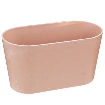 Produkt Miska na rośliny owalna miska ozdobna plastikowa różowa brązowa 20×10×11cm 3szt