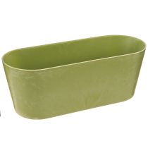 Produkt Miska na rośliny owalna zielona miska plastikowa 27×11×10cm 3szt